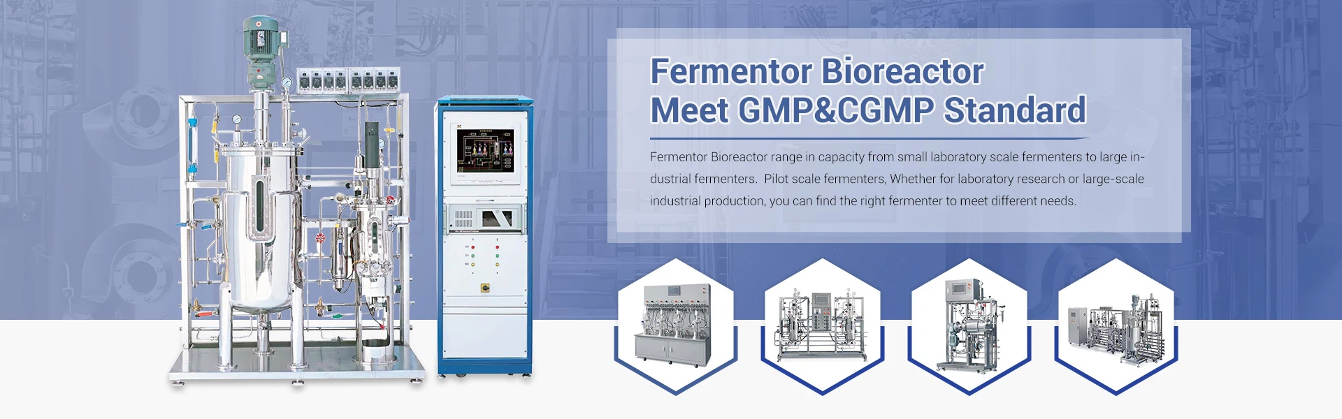 Fermentor Bioreactor